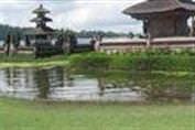Bali Adas�