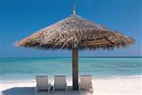 ��te Türkiye'ye gelen turist say�s�