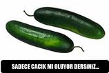 Sadece cac�k olmuyor
