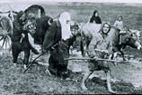 Balkan facias�