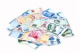 �ntibak yasas�, Resmi Gazete'de