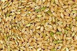Kilo ald�rmayan besinler