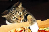 �nce hamurlu Pizza!