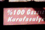 Yurdum alemi