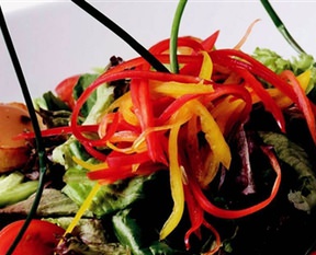 Sote Deniz Tara�� Salata