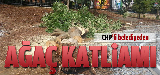 CHP'li belediye ağaçları kesti