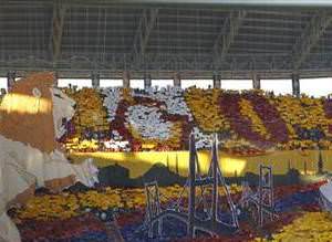 Derbi geyikleri