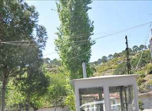 Mehmet A�ar