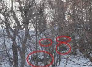 TSK PKK'l�lar� Böyle Vurdu