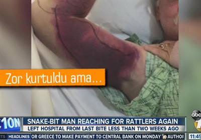 Yılanla selfie çekme isteği pahalıya patladı!