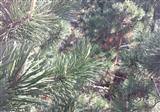 Bu foto�raf, Galaxy Note 3'�n kameras�yla m� �ekildi?