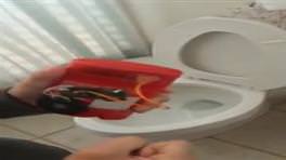 11 yaşındaki çocuktan akıllara zarar icat