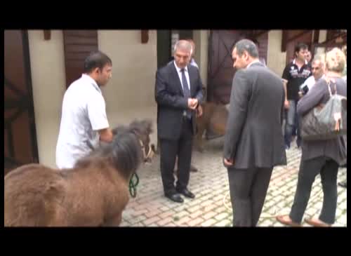 OT�ST�KLERE ATLI TEDAV�...