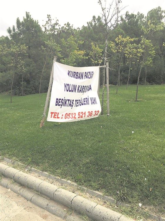 F.Bahçe maçı öncesi Şenol Güneş şokta - 2