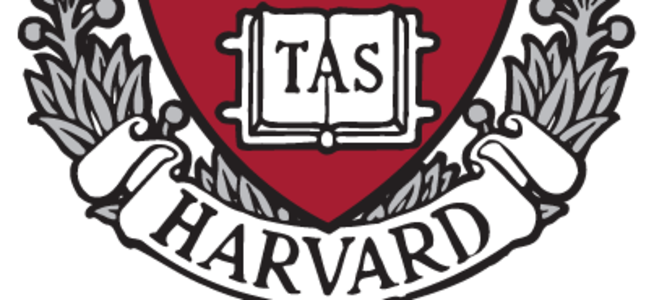 Harvard’ın ilk başörtülü akademisyeni