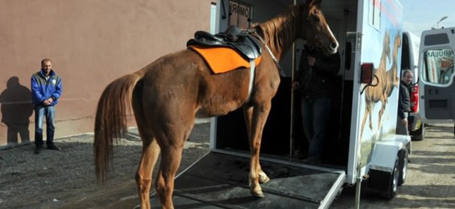 At eti skandalına yarış atları da karıştı