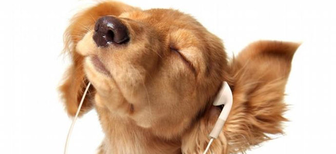 DW Türkçe’nin sesli haberleri SoundCloud’da