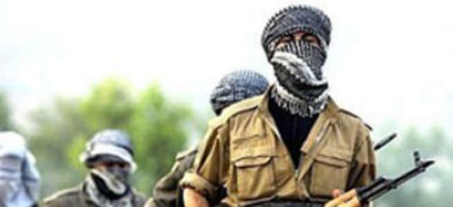 PKK 3 operatörü kaçırdı