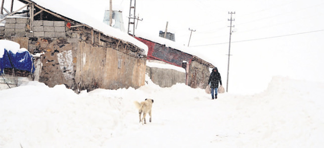 Sibirya soğukları vurdu