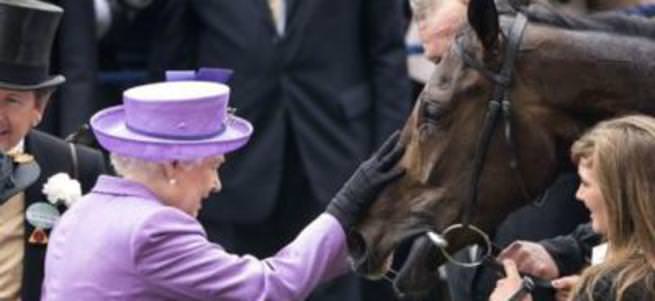 Kraliçenin atı dopingli çıktı