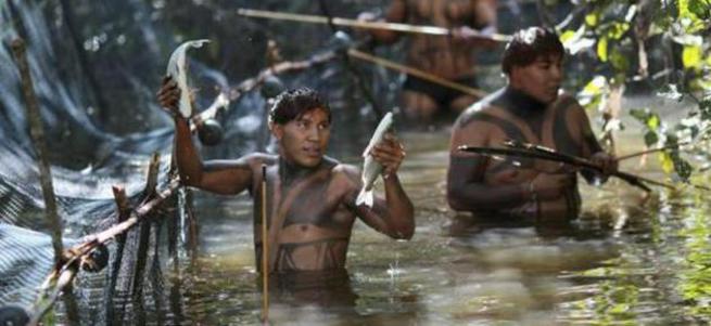 Amazon yerlileri köy bastı