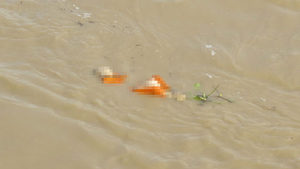 Ganj Nehrinden 102 ceset çıkarıldı
