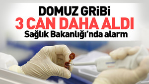 Domuz gribi 3 can aldı