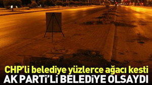 İzmir Belediyesi yüzlerce ağacı kesti