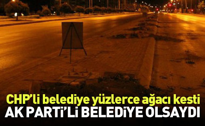 İzmir Belediyesi yüzlerce ağacı kesti