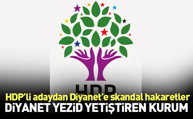HDP milletvekili adayından Diyanet’e ağır sözler