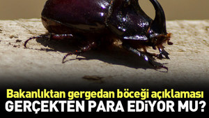 Bakanlık ’Gergedan böceği’ için açıklama yaptı