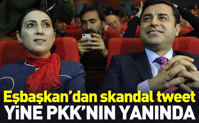 Eşbaşkan Yüksekdağ’dan skandal tweet