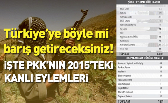 PKK terörü 2015’te zirve yaptı