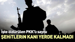 5 dalgada 200’e yakın PKK’lı öldürüldü