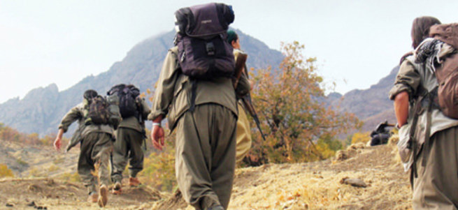 PKK’lılar korucularla çatıştı; 2 terörist öldürüldü