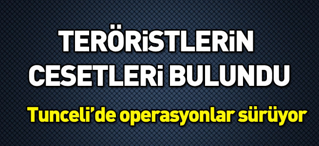 Tunceli’de hava operasyonunda vurulan 30-35 PKK’lıdan 10’unun cesedi bulundu