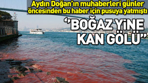 DHA’nın geleneksel kurban haberi: Boğaz kan gölü