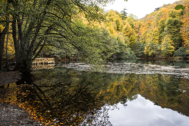 Enjoy a perfect day surrounded by nature in Turkeys Bolu