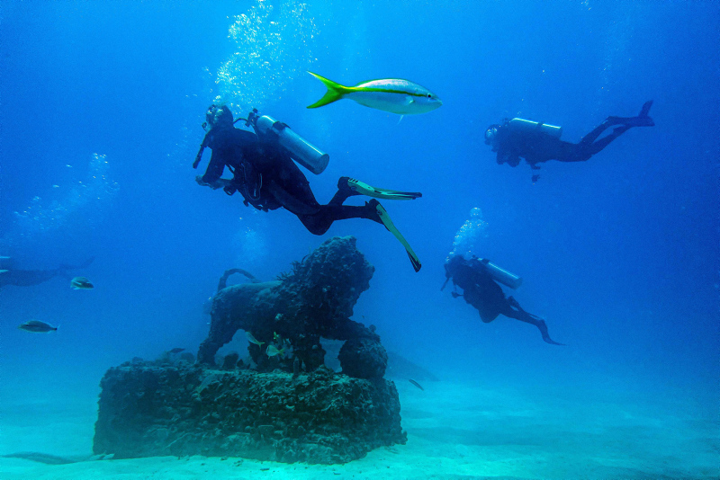 The biggest man-made reef of the world: Neptune Memorial Reef
