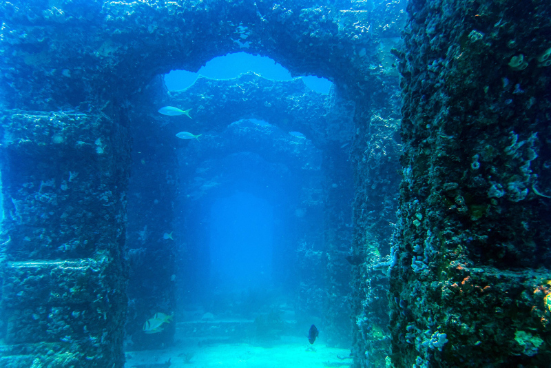 The biggest man-made reef of the world: Neptune Memorial Reef