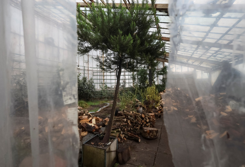 The struggle to save the tropical plants of Kyivs Botanical Garden