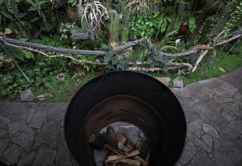The struggle to save the tropical plants of Kyivs Botanical Garden