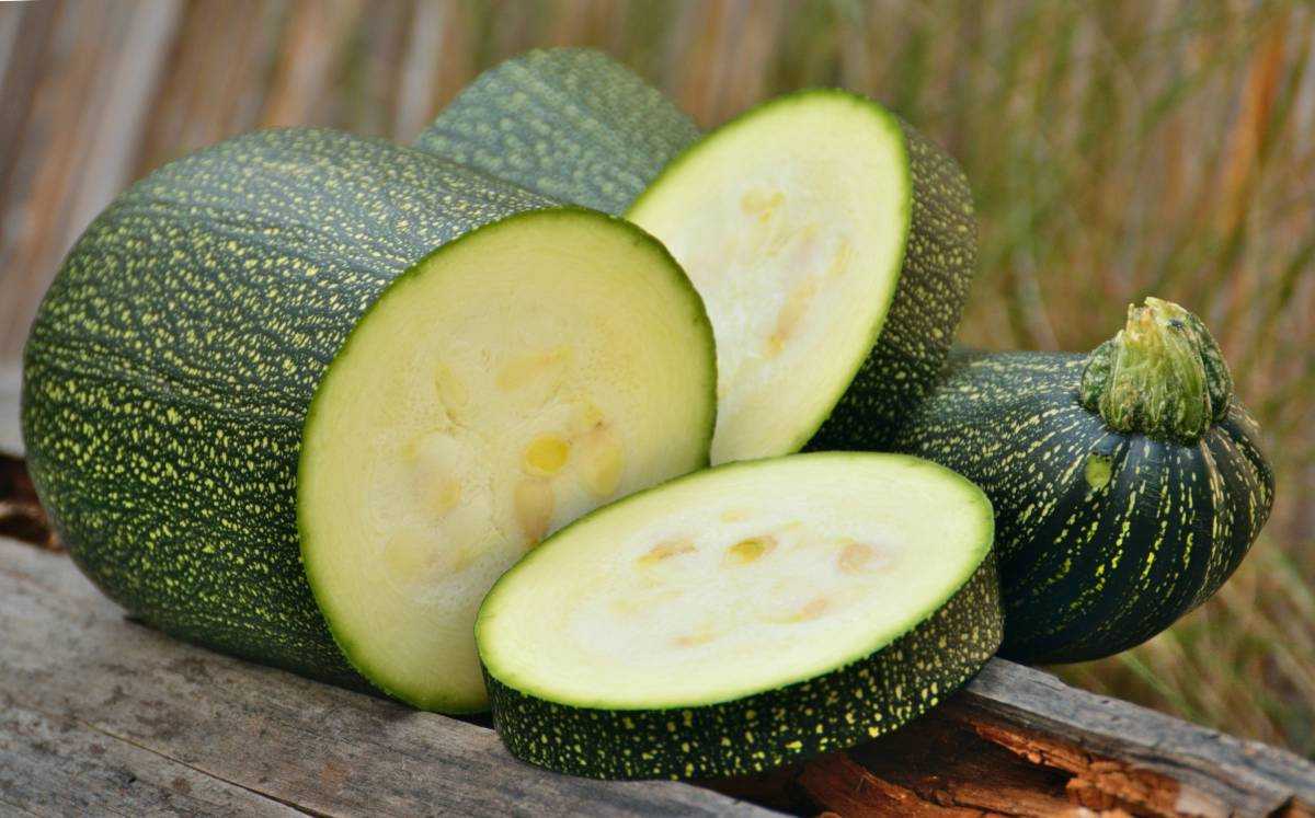 10 foods mentioned in the holy Quran