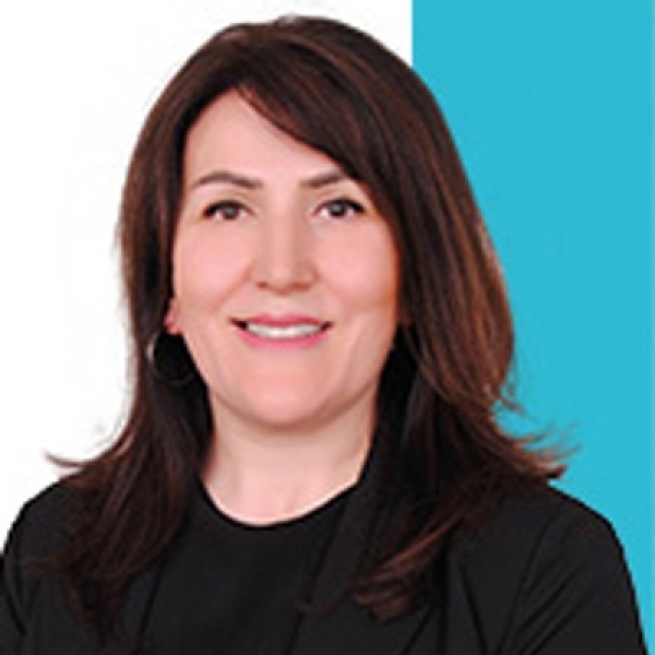 Hamide Aydemir Demir