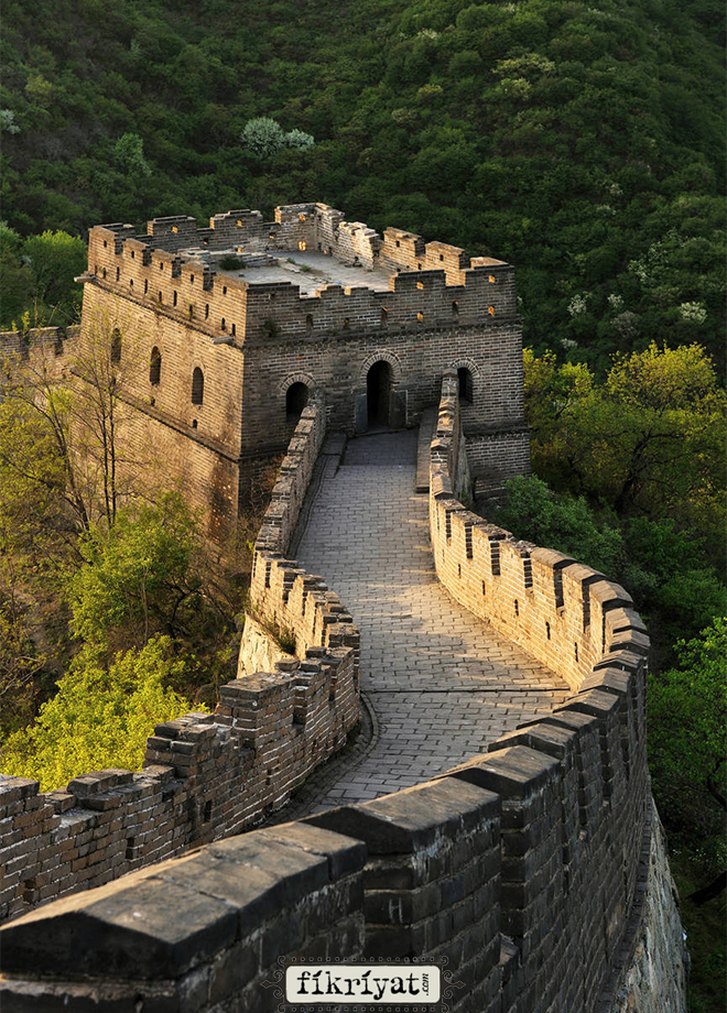 cin seddi ile ilgili 15 ilginc bilgi galeri fikriyat gazetesi