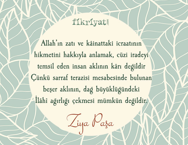 Türkü Şiiri - Ziya Paşa