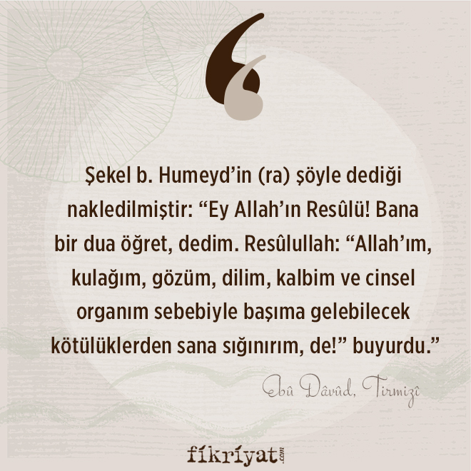 dua etmenin onemi ile ilgili 35 hadis i serif galeri fikriyat gazetesi
