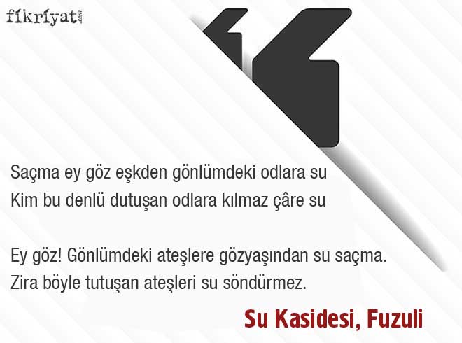 sosyal izolasyonda okuyabileceginiz 10 siir ve siir kitabi galeri fikriyat gazetesi