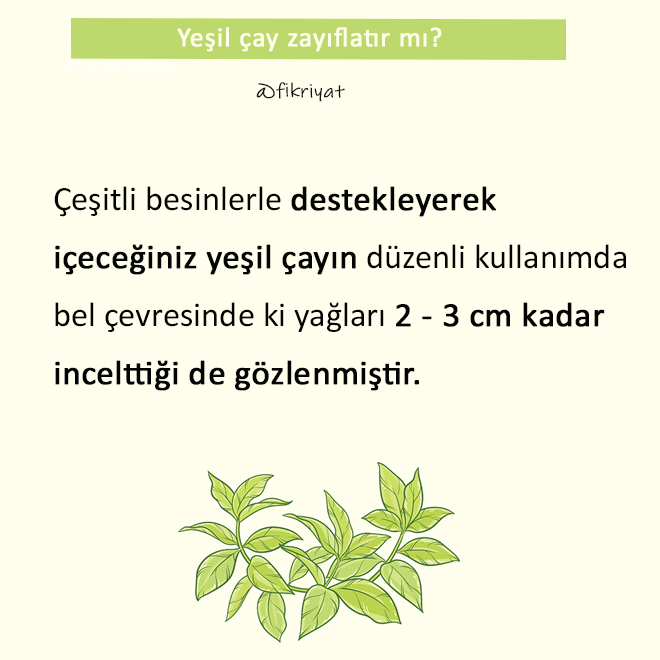 Yesil Cay Nasil Yapilir Yesil Cay Zayiflatir Mi Galeri Fikriyat Gazetesi