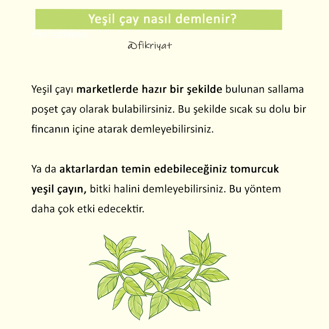 Yesil Cay Nasil Yapilir Yesil Cay Zayiflatir Mi Galeri Fikriyat Gazetesi